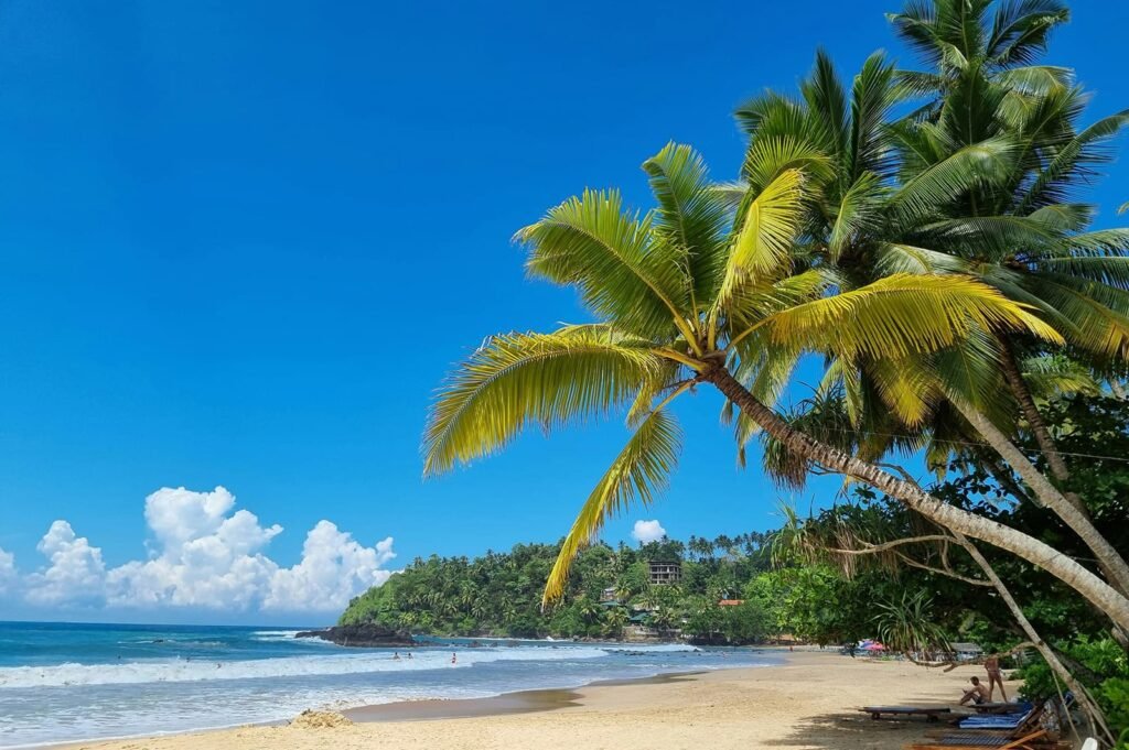School Cricket Tour to Sri Lanka: Play, Learn & Explore