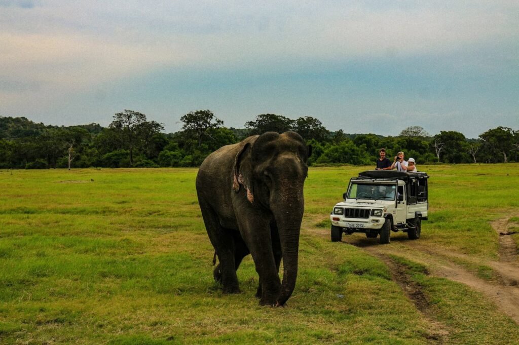 School Cricket Tour to Sri Lanka: Play, Learn & Explore